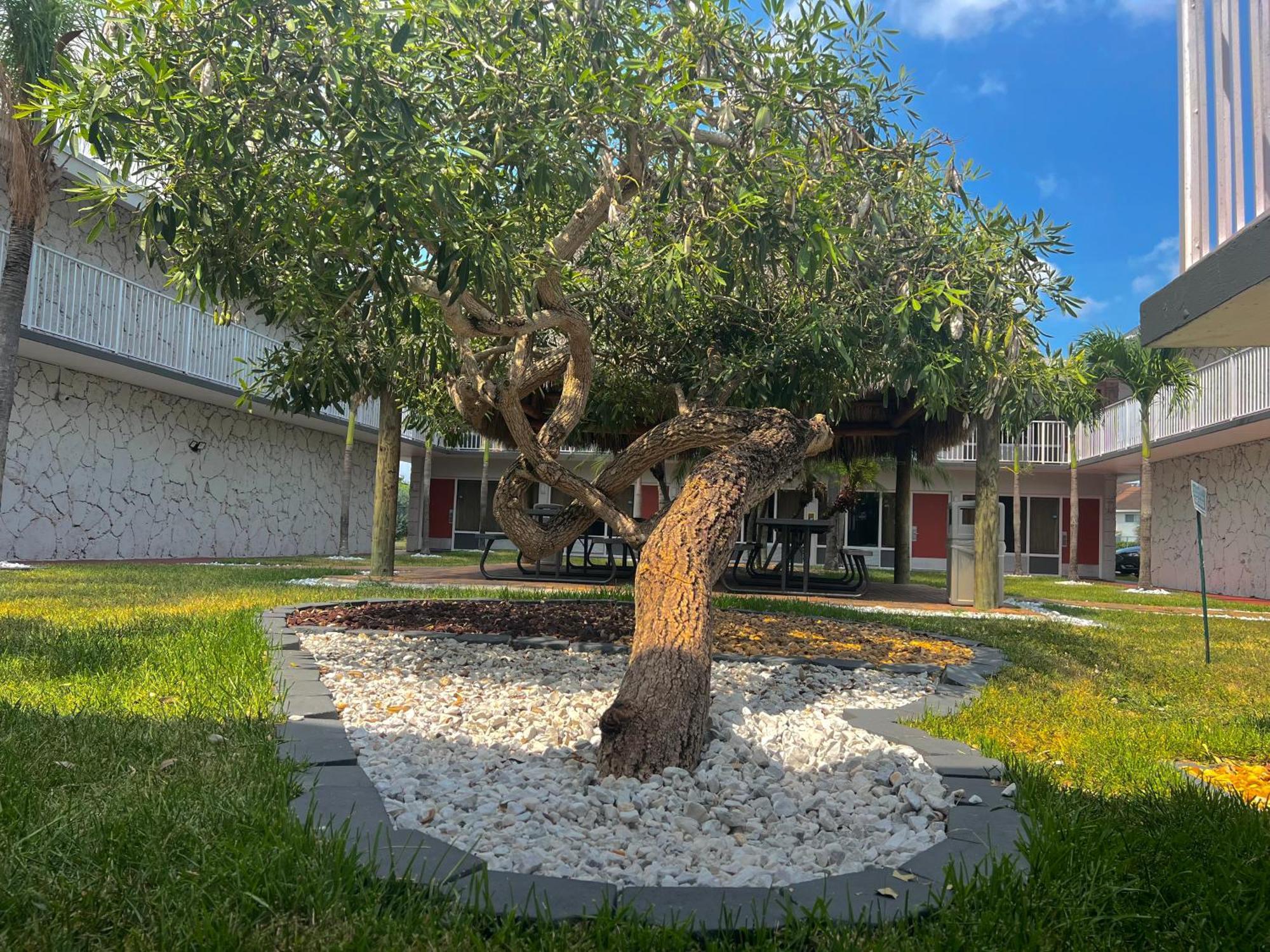 Garden Homestead/everglades/gateway To Keys 2* Homestead